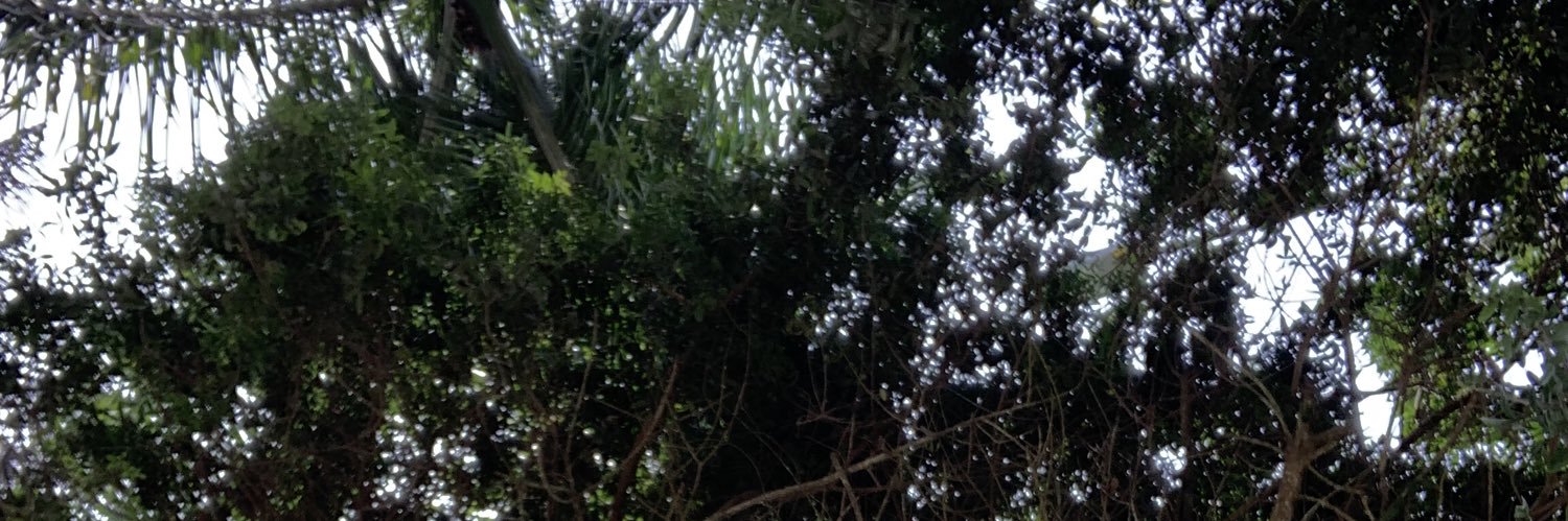 okdimegeorge's profile banner image