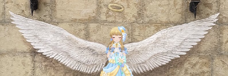 rika_P_aki's profile banner image