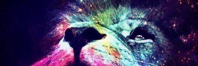 Logan_Weis's profile banner image