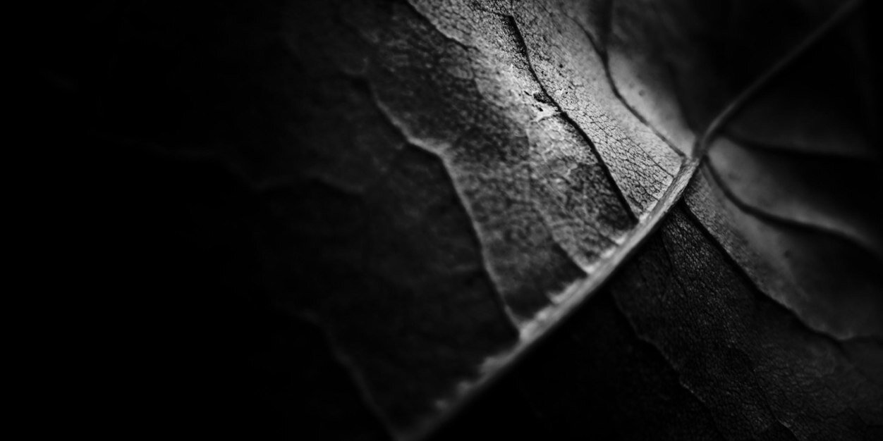 Dimas_RSDT's profile banner image