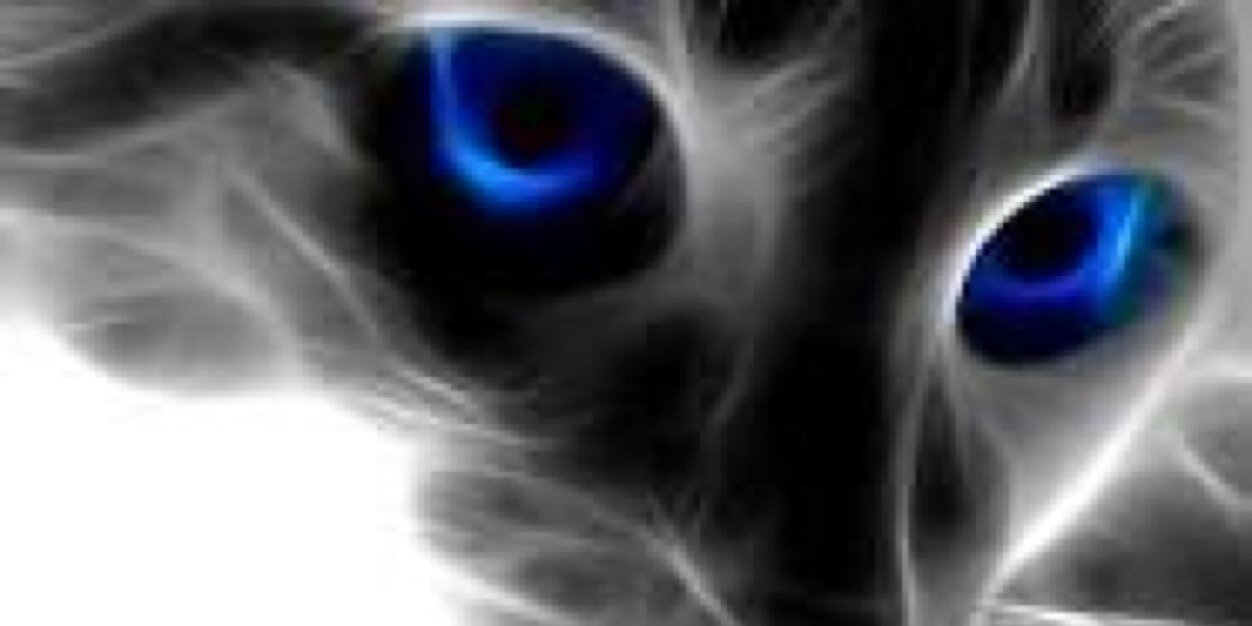 ECB_Payak's profile banner image