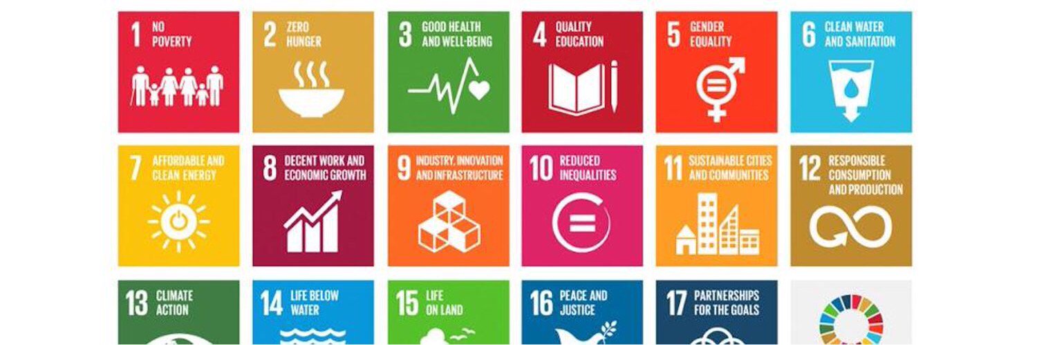 Sana de Courcelles banner