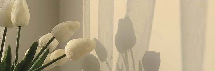 neecatorres's profile banner image