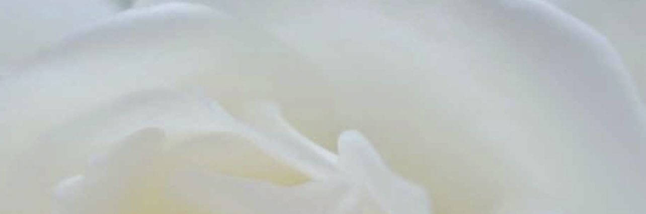 hebasamman's profile banner image