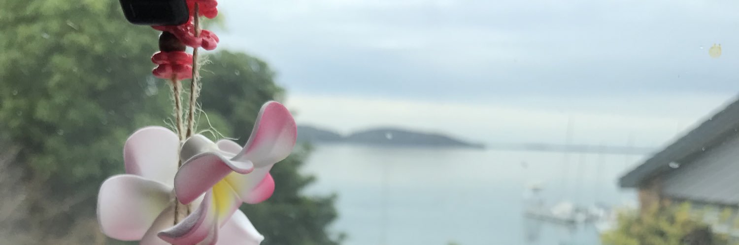 Debsaniteowl's profile banner image