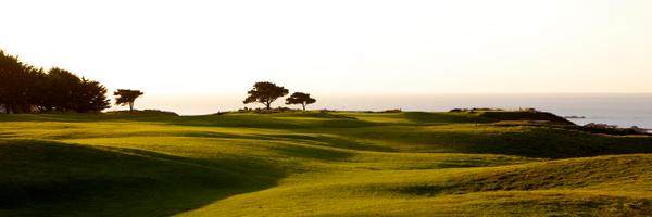 LaMoyeGC Profile Banner