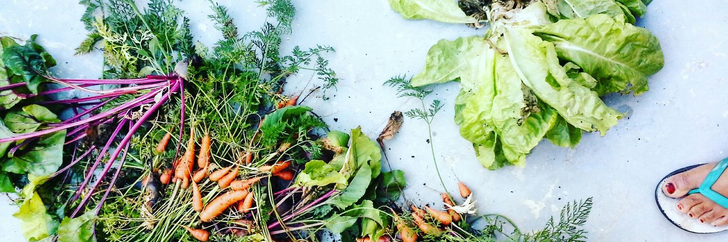 Nava Derakhshani banner