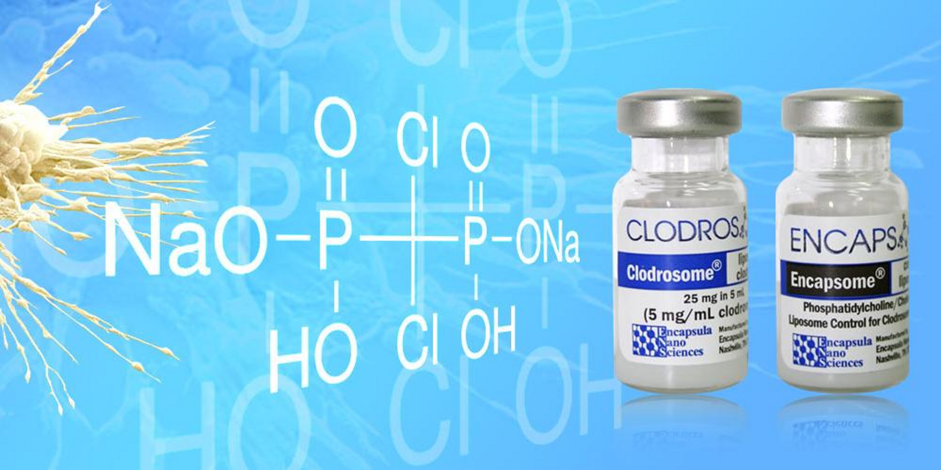 Clodrosome's profile banner image