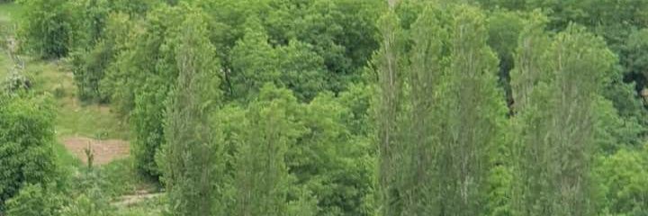 cetinsak73's profile banner image