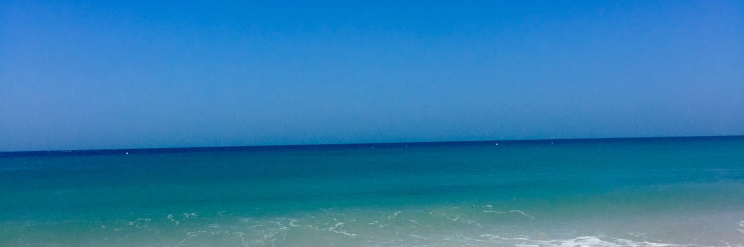 Ana Fernández Velasco banner