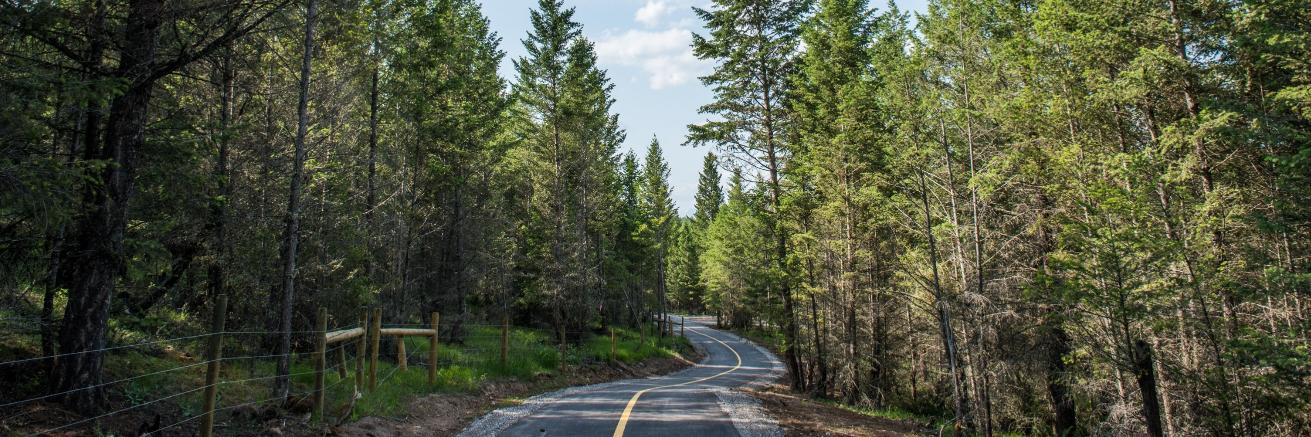 CVGreenways's profile banner image