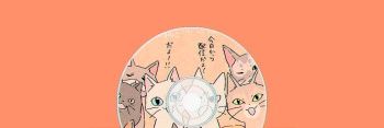 ilvolover13's profile banner image