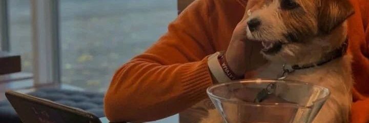 Derricktools's profile banner image