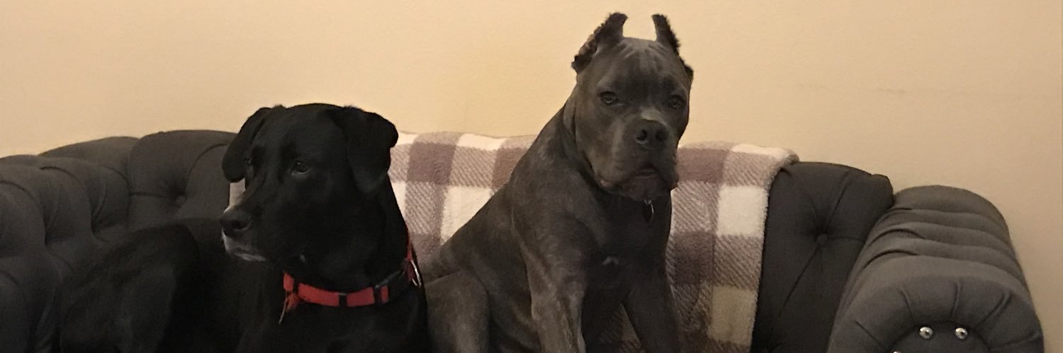 Cindi Atehortua banner