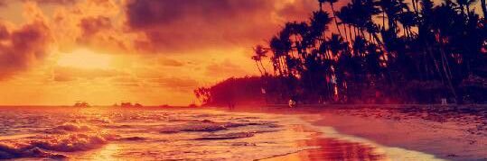 Le Lajus banner