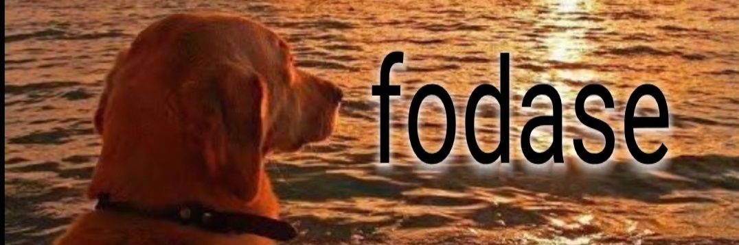 _coooosta's profile banner image