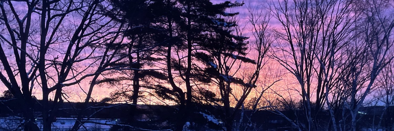 acardelle's profile banner image