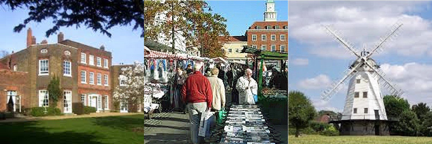 Havering Liberal Democrats 🔶 🇬🇧 🇪🇺 banner