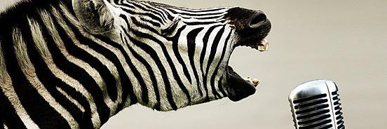 zebraentgrp's profile banner image