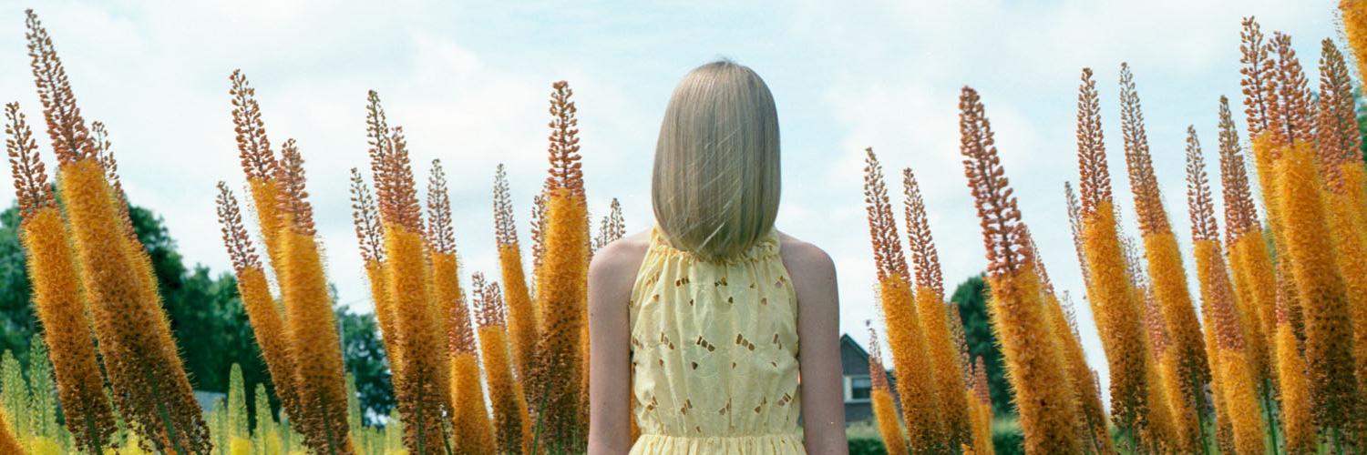 hellenvanmeene's profile banner image