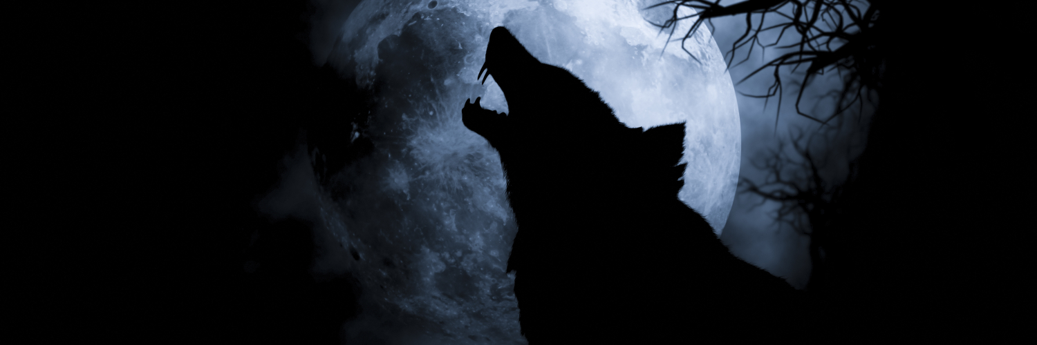 BBJ90_'s profile banner image