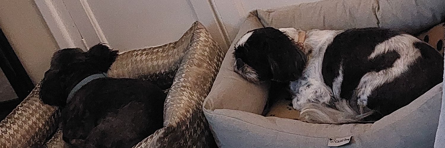 emmabflowers's profile banner image