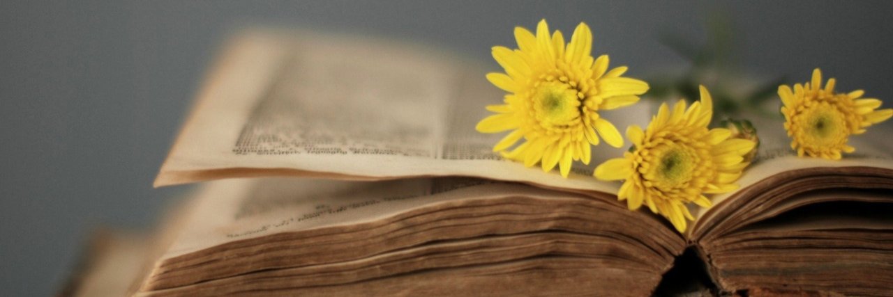 cascaramussa's profile banner image