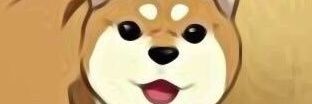 TtvShiba's profile banner image