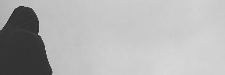 Andre Visser banner