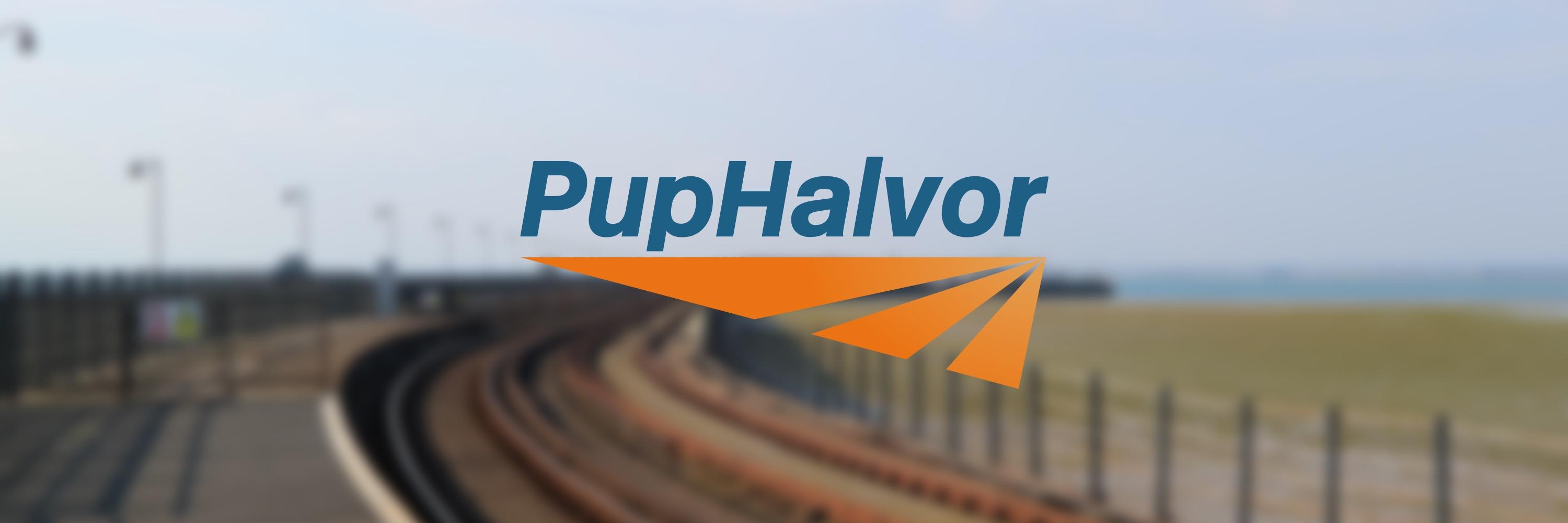 Pup Halvor (@flyingasadragon) / Posts / X