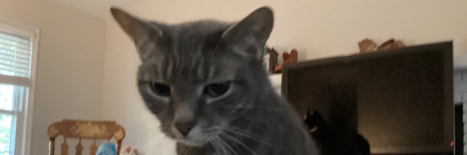 stparh's profile banner image