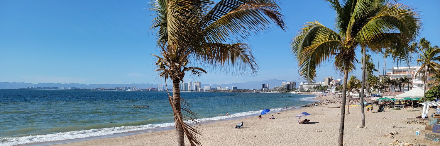 BearRifle Investments banner