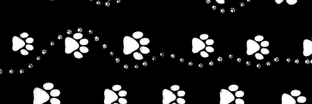 xDrMittens's profile banner image