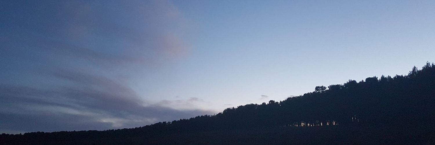 danrogvrs's profile banner image