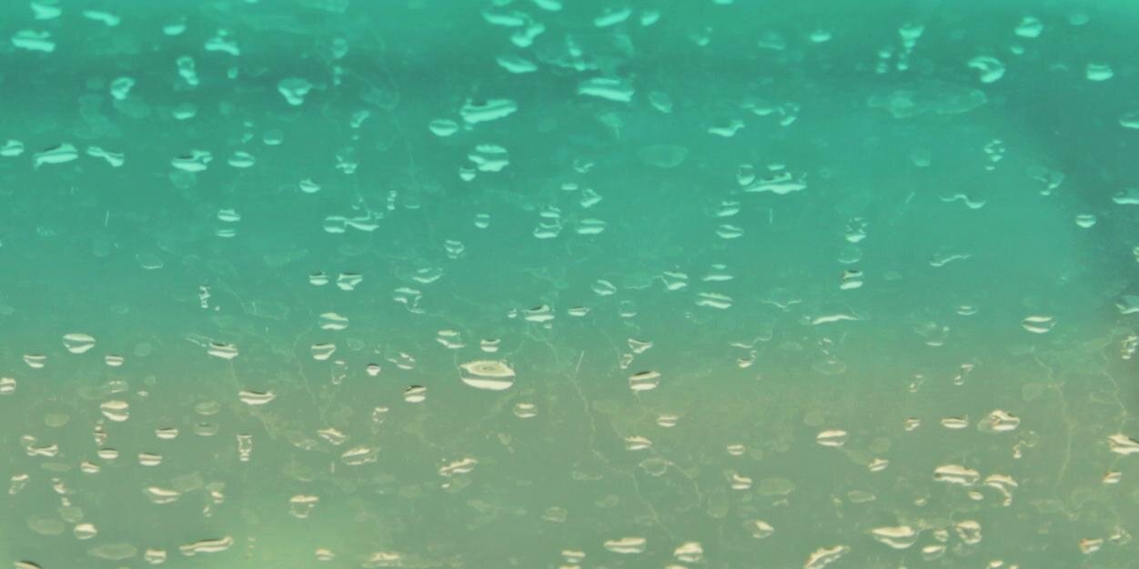 Bee_Fageeh's profile banner image