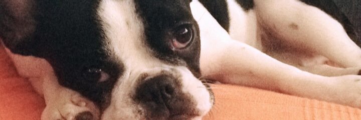 Maria_Moreno_M's profile banner image