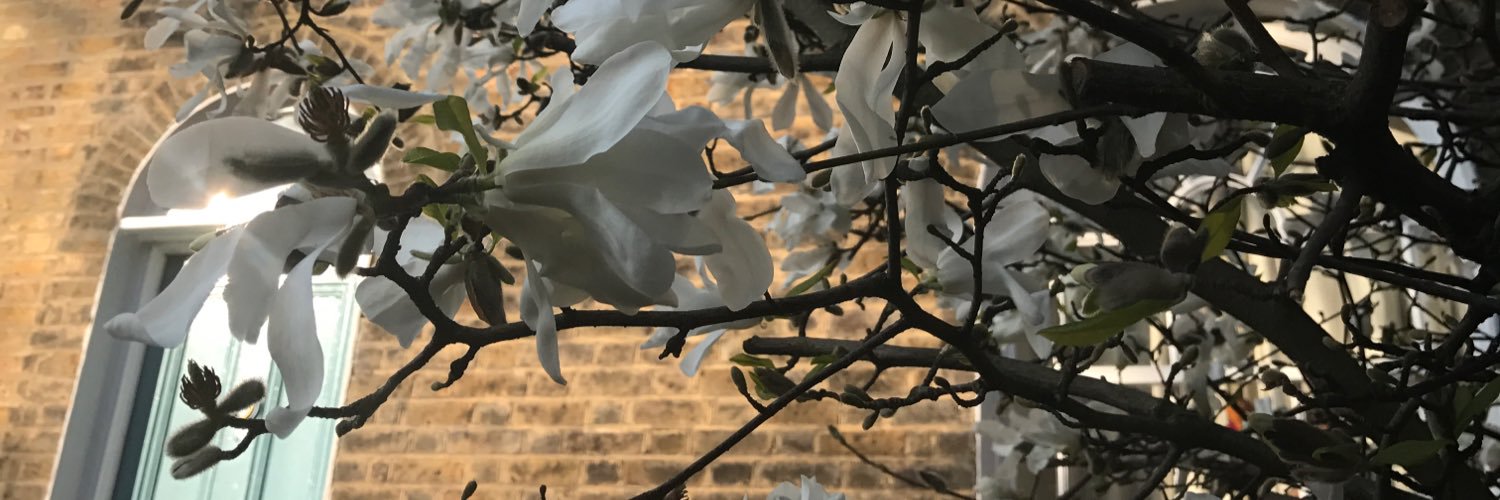 janine0000's profile banner image