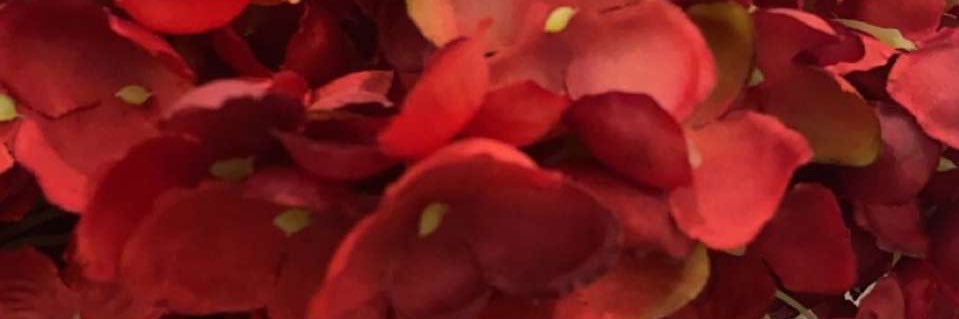 a_arwadh's profile banner image