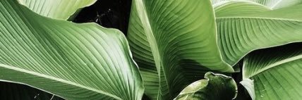gxllgher's profile banner image