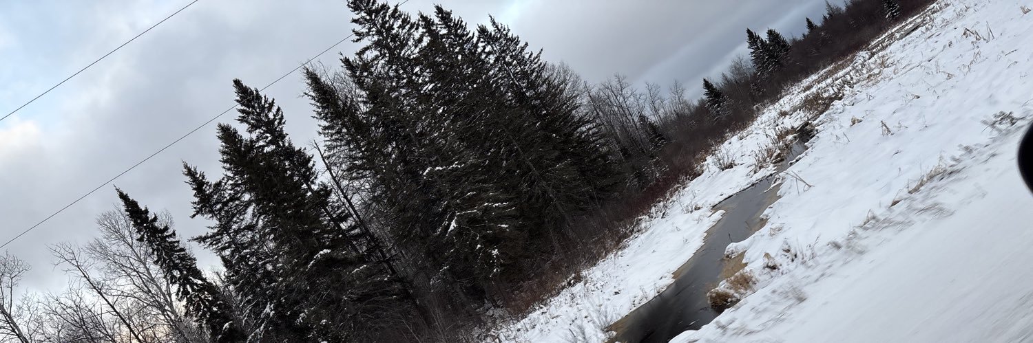 BubblySnowTA's profile banner image