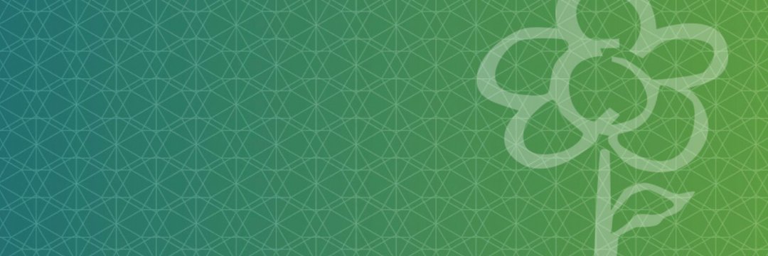 AES - Asociación de Economía de la Salud's banner