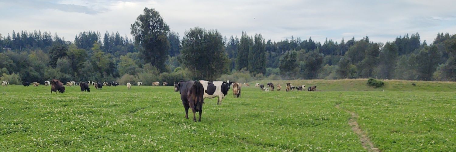 virtualmilkman's profile banner image