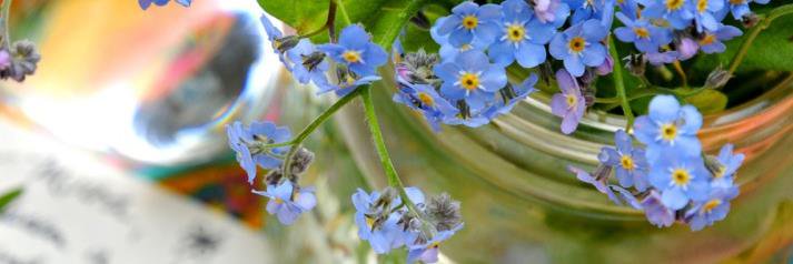 Hospice of Anchorage banner