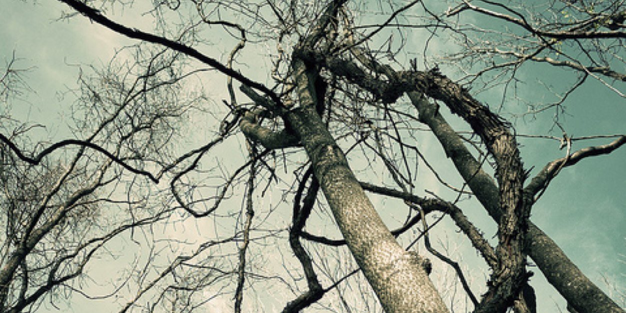 _its_tracy's profile banner image