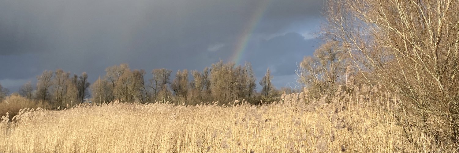 Els56's profile banner image