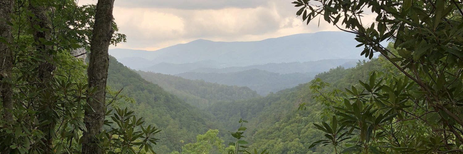 mollydison's profile banner image