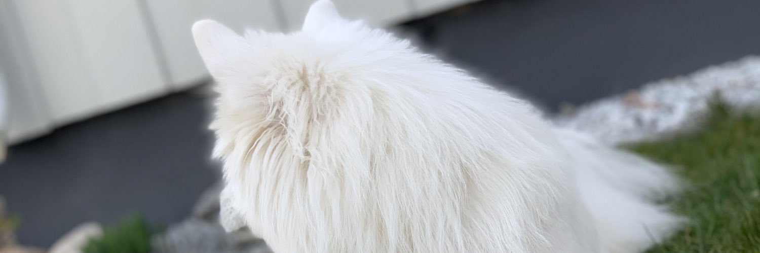 Jerkerfrick's profile banner image