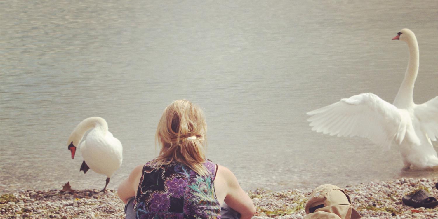 MPQuack's profile banner image