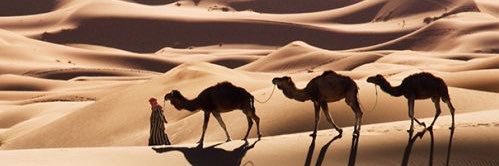 بدويــه banner