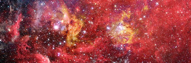 JacksonFacts23's profile banner image
